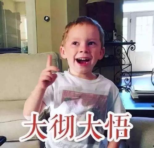 网红表情包小胖,网络红人的“胖”魅力